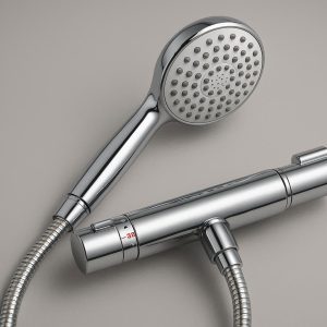 Handheld Shower Head with Thermostatic Control